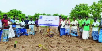 Green tribute: Cauvery Calling farmers plant 1.85 lakh saplings to mark Gandhi Jayanti in TN