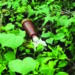 3 rocket grenades found in abandoned Army training centre in Chengalpattu