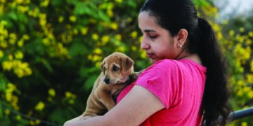 iAdopt to hold Paw-llywood Fest, pet adoption drive, on Oct 8-9 and 15-16