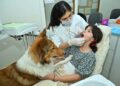 First time in Gujarat, Kids Dental Studio hosts a workshop on dental hygiene using therapy dogs