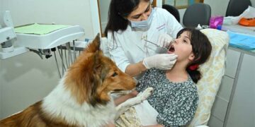First time in Gujarat, Kids Dental Studio hosts a workshop on dental hygiene using therapy dogs