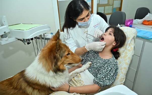 First time in Gujarat, Kids Dental Studio hosts a workshop on dental hygiene using therapy dogs