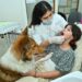 First time in Gujarat, Kids Dental Studio hosts a workshop on dental hygiene using therapy dogs