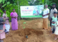 Green tribute: Cauvery Calling plants 1.5 lakh timber saplings on Nammalvar’s memorial day in TN