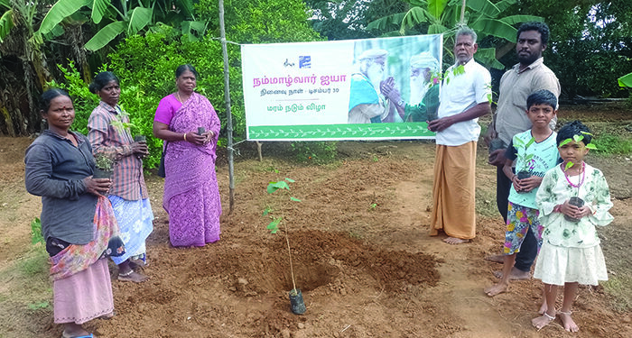 Green tribute: Cauvery Calling plants 1.5 lakh timber saplings on Nammalvar’s memorial day in TN