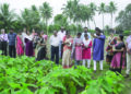 30 agri officials from across India get hands-on training in tree-based economy for farmers