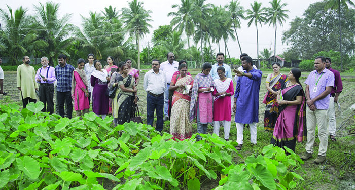 30 agri officials from across India get hands-on training in tree-based economy for farmers