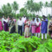 30 agri officials from across India get hands-on training in tree-based economy for farmers