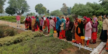 GHCL Foundation strengthens microfinance by enabling SHGs in 34 villages, aims to cover 45 by FY23