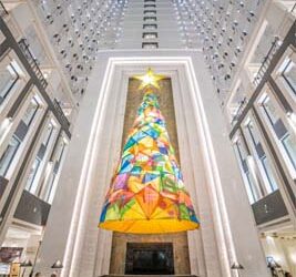 Spirit of Gujarat soars sky-high on Christmas eve in Aapnu Amdavad