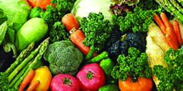 Going Green This Winter Season will keep your family healthy forever