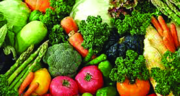 Going Green This Winter Season will keep your family healthy forever