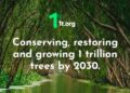 In aid of UN Decade on Ecosystem Restoration, Adani Group pledges to grow 100 mn trees by 2030