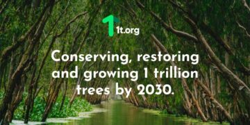 In aid of UN Decade on Ecosystem Restoration, Adani Group pledges to grow 100 mn trees by 2030