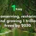 In aid of UN Decade on Ecosystem Restoration, Adani Group pledges to grow 100 mn trees by 2030