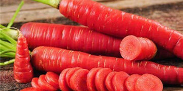 Carrot Connect: Winter special treat full of goodness & nutrition
