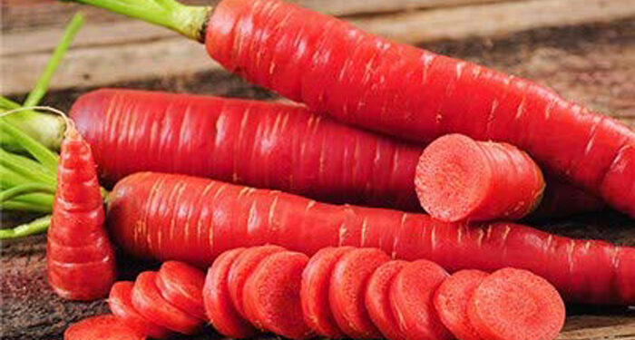 Carrot Connect: Winter special treat full of goodness & nutrition
