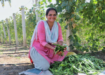 These empowered female farmers from Mundra are scripting success stories, thanks to Adani Foundation