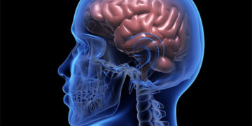 Gujarat CM’s son hospitalised in Mumbai after suffering from brain stroke