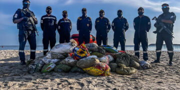 ICG seizes sea cucumber worth Rs 5 cr near Mandapam in TN