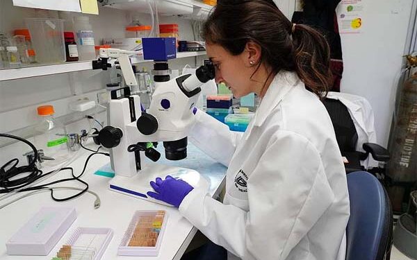 Science and Engineering Research Board offers Technology Translation Award