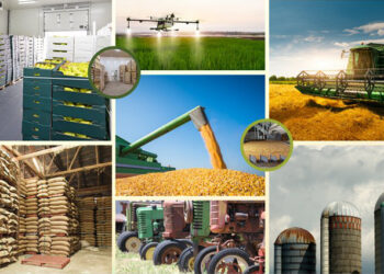 Centre launches new campaign for banks under Agri Infra Fund titled ‘BHARAT’