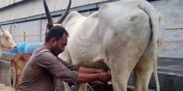 AP CM lays foundation stone for revival project of Chittoor dairy by Amul