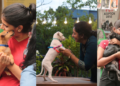 To celebrate love and adoption, iAdopt presents Paw-llywood Fest Season 2