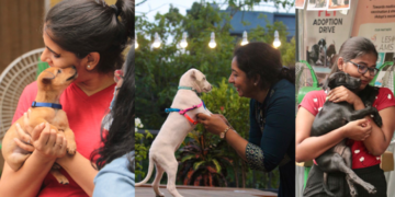 To celebrate love and adoption, iAdopt presents Paw-llywood Fest Season 2