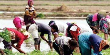 Gujarat receives 32% of average annual rainfall, IMD warns of heavy rain