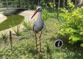 Sayajibaug Aviary of Kamatibaug Zoo in Vadodara unveils captivating 3D AR Park