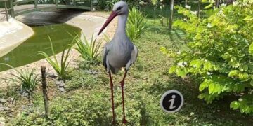 Sayajibaug Aviary of Kamatibaug Zoo in Vadodara unveils captivating 3D AR Park