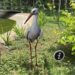Sayajibaug Aviary of Kamatibaug Zoo in Vadodara unveils captivating 3D AR Park