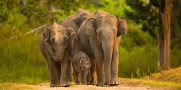 Karnataka Tourism to hold roadshow at Taj Coromandel in Chennai tomorrow