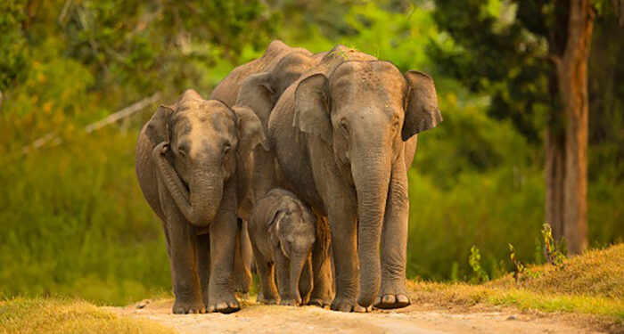 Karnataka Tourism to hold roadshow at Taj Coromandel in Chennai tomorrow