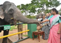 President visits Theppakadu Elephant Camp and interacts with mahouts, kavadis
