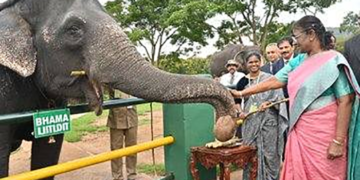 President visits Theppakadu Elephant Camp and interacts with mahouts, kavadis