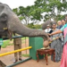 President visits Theppakadu Elephant Camp and interacts with mahouts, kavadis