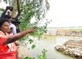 Telangana Guv visits flood-hit Hanamkonda dist, calls for long-term solutions for flood control