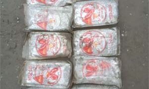 BSF team recovers 10 packets of charas off Jakhau coast in Gujarat