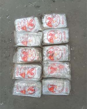 BSF team recovers 10 packets of charas off Jakhau coast in Gujarat