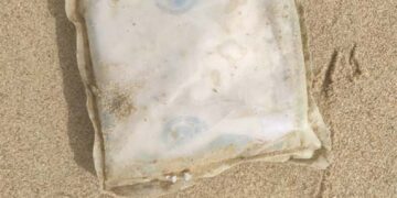 BSF recovers 1 packet containing drugs off Jakhau coast in Gujarat