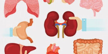 Organ donation: From death to life, the miracle of heart transplantation