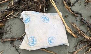 BSF recovers 11 packets containing drugs off Jakhau coast in Gujarat