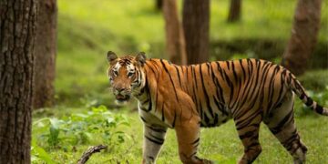 Karnataka Tourism to hold roadshow at Marriott Hotel in Surat on Monday