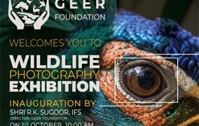 Seven Bad Birders to host Wildlife Photography expo in Ahmedabad and Gandhinagar