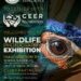 Seven Bad Birders to host Wildlife Photography expo in Ahmedabad and Gandhinagar