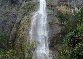 Sri Lanka approves free tourist visas for all from India & 6 other countries