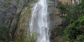 Sri Lanka approves free tourist visas for all from India & 6 other countries