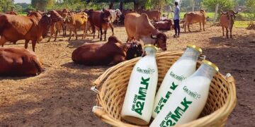 GauNeeti Organics hosts health, wellness talk to raise awareness on Gir cows’ A2 Milk’s benefits